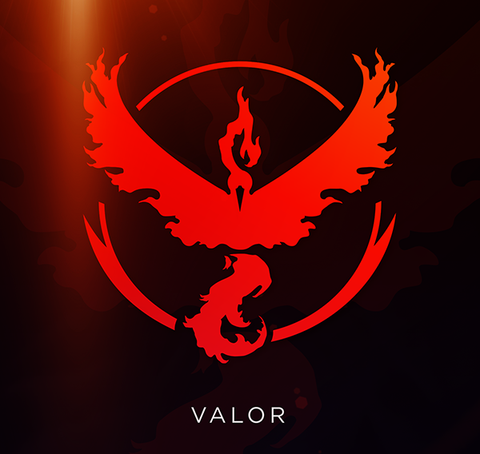 Team Valor